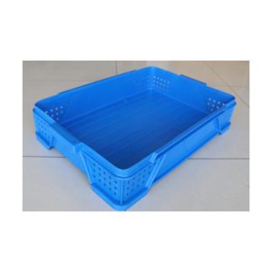 Food BOX