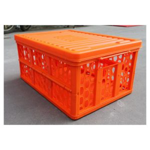 Caja Plegable con tapa